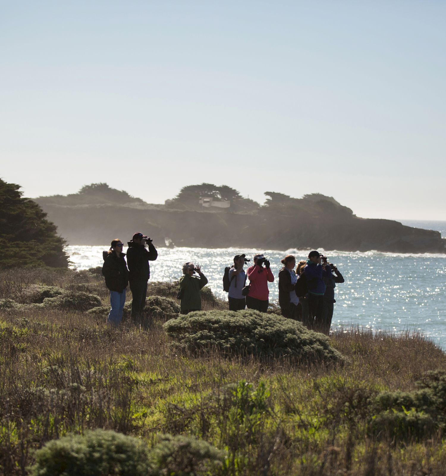 A group of people stands on a coastal cliff, looking through binoculars at the ocean, with trees and rugged shoreline in the background.