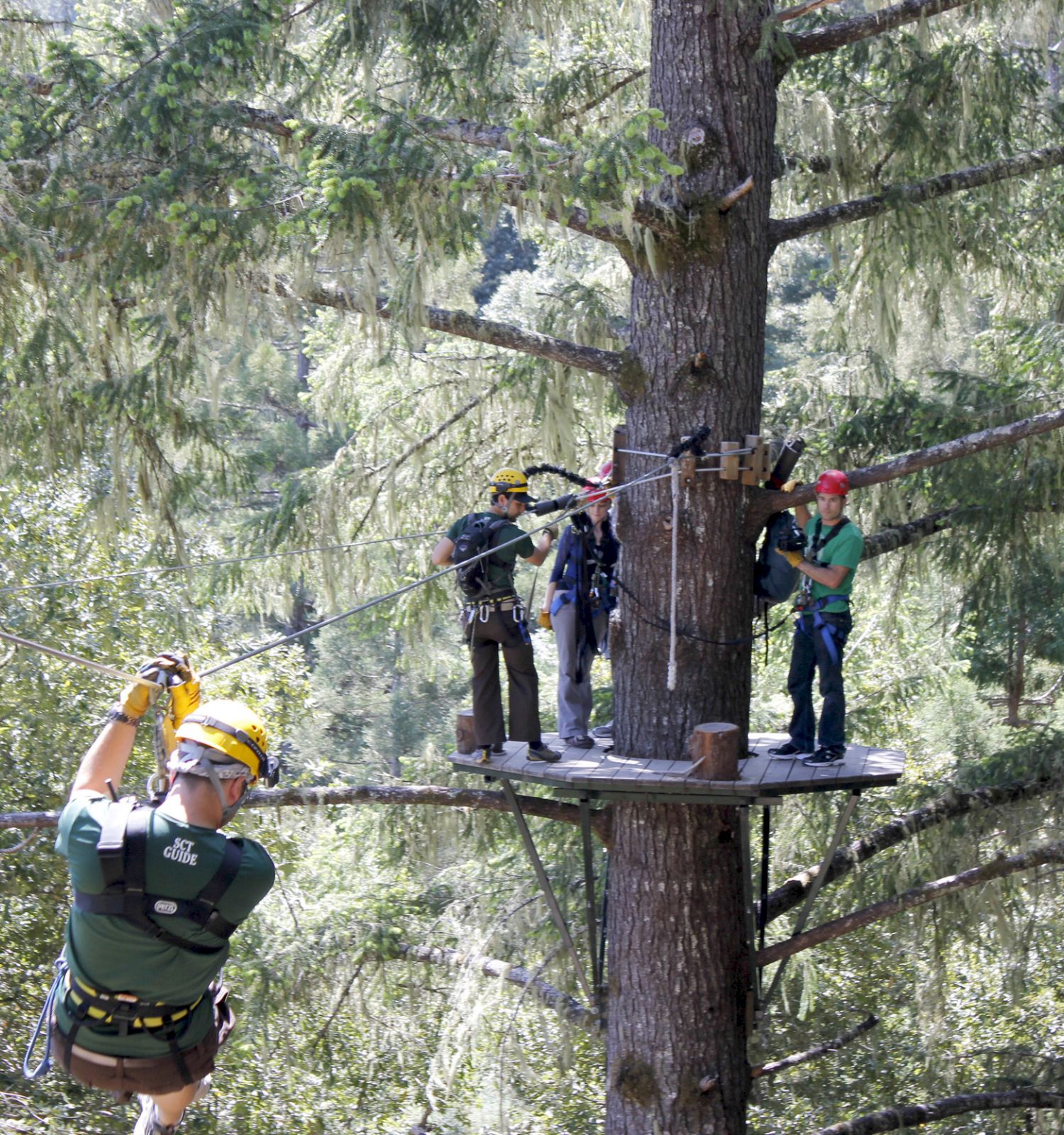 People are zip-lining through a forested area, with some standing on a platform attached to a tree and one person actively zip-lining.