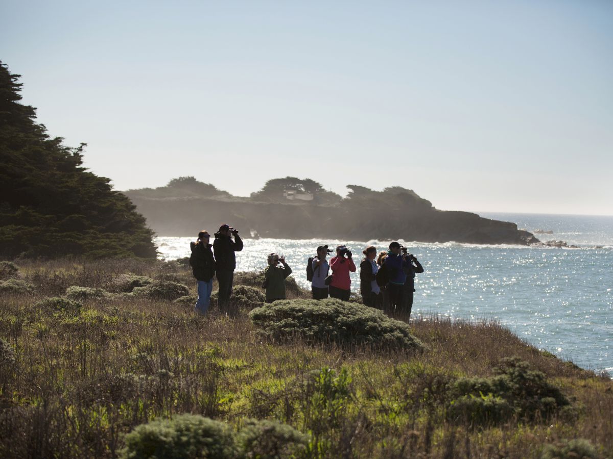 A group of people stand on a coastal landscape near the ocean, looking through binoculars at something in the distance, surrounded by vegetation.