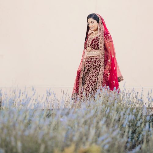 A woman in traditional attire, including a red veil and intricately designed clothing, standing in front of a wall with tall grass or lavender in the foreground.