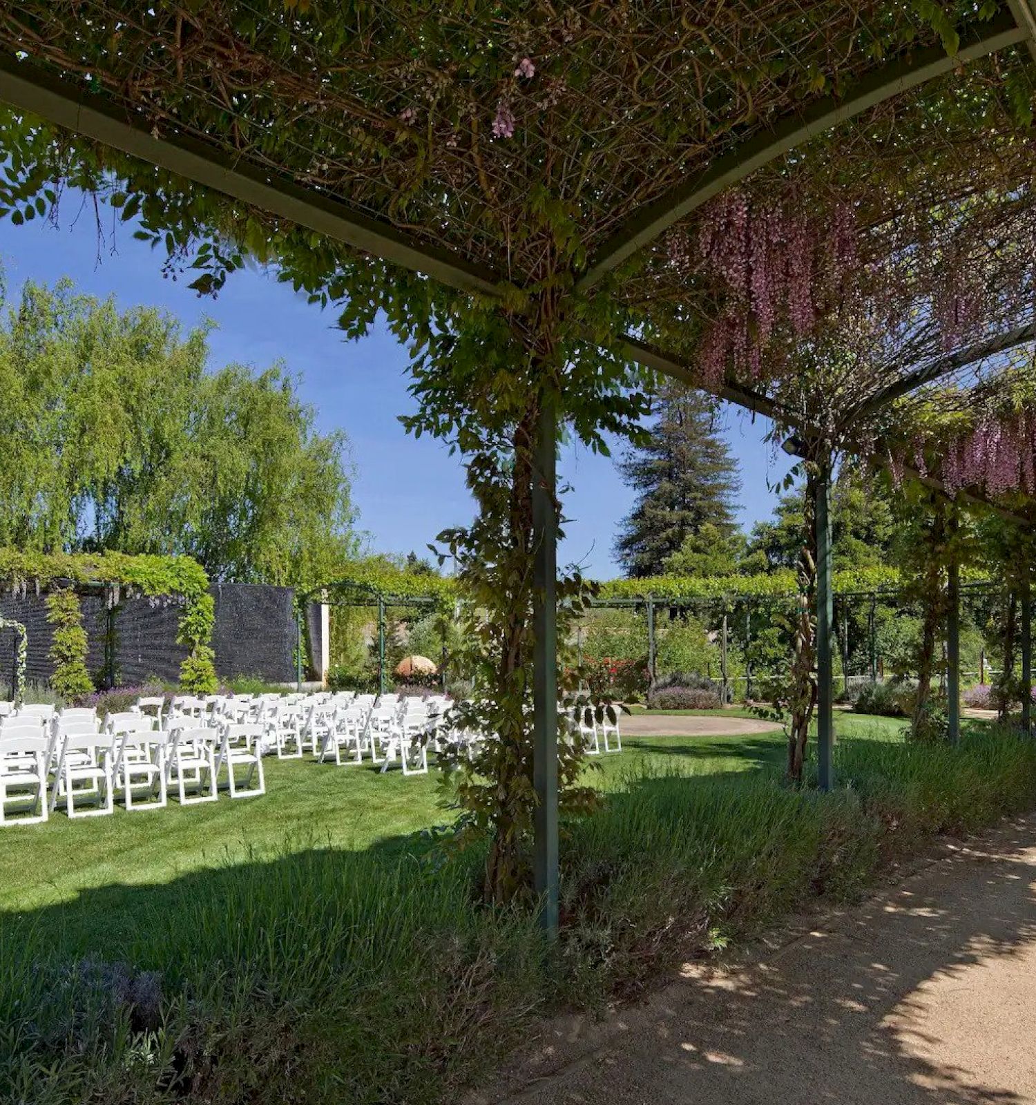 An outdoor venue with white chairs arranged for an event, surrounded by greenery and flowers, under a pergola with hanging vines.