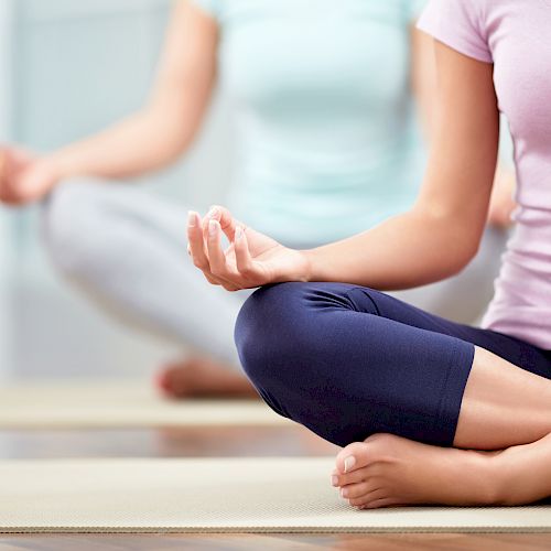 Two people are sitting on yoga mats in a cross-legged position, practicing meditation. They appear to be indoors.