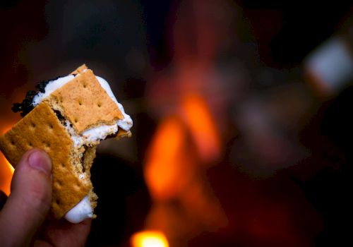 A hand holds a partially eaten s'more with marshmallow melting between graham crackers near a campfire.