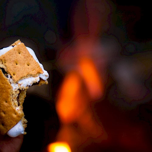 A hand holds a partially eaten s'more with marshmallow melting between graham crackers near a campfire.