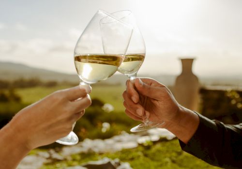 Two hands clink glasses of white wine outdoors, with a scenic landscape in the background, suggesting a celebration or toast.