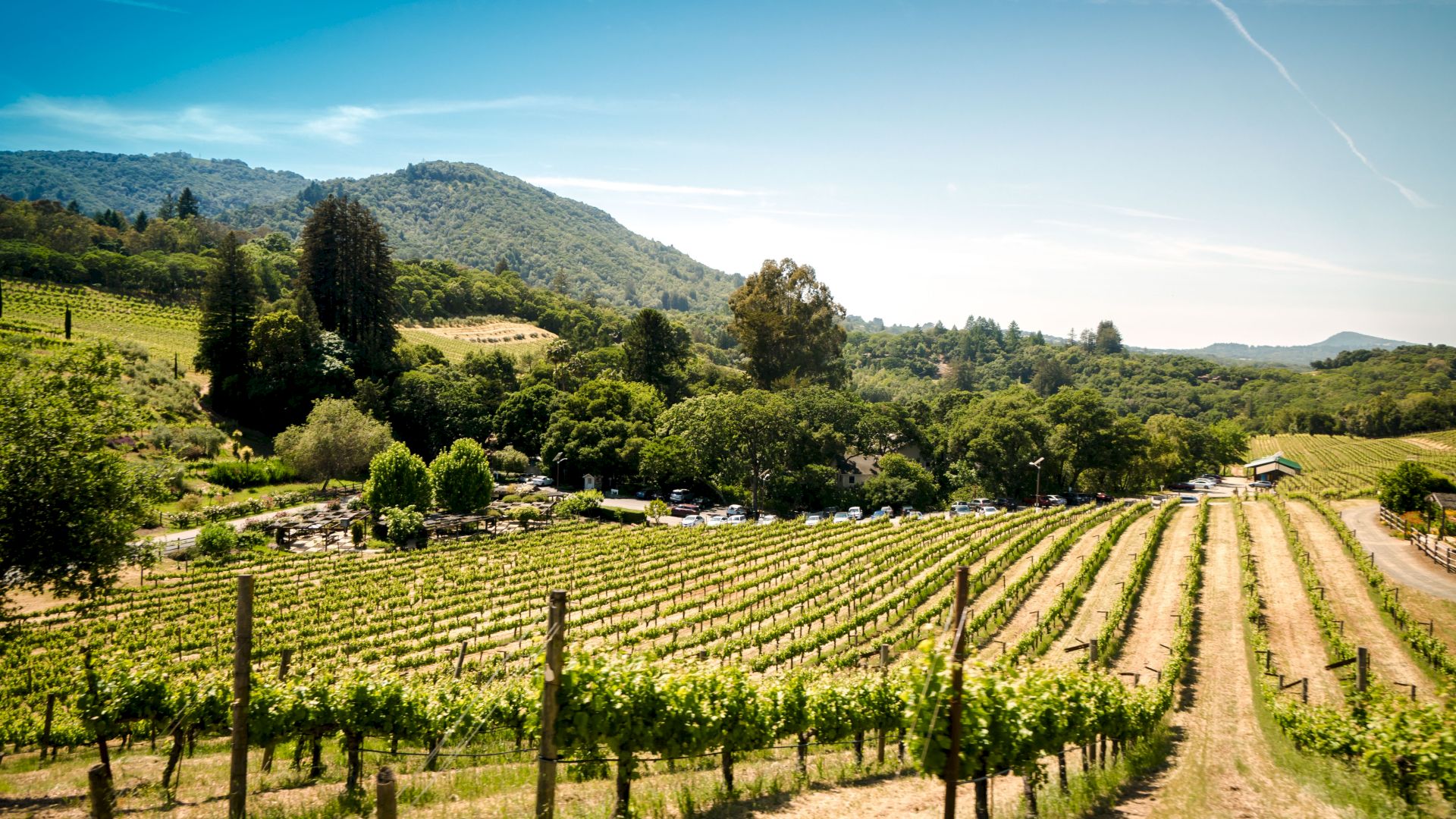 Sonoma Wine Country Events