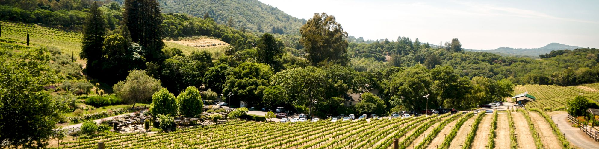 Sonoma Wine Country Events