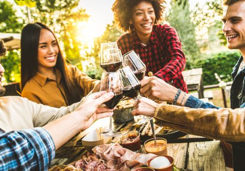 A group of friends is toasting with wine glasses at an outdoor gathering, enjoying food and drinks at a wooden table.