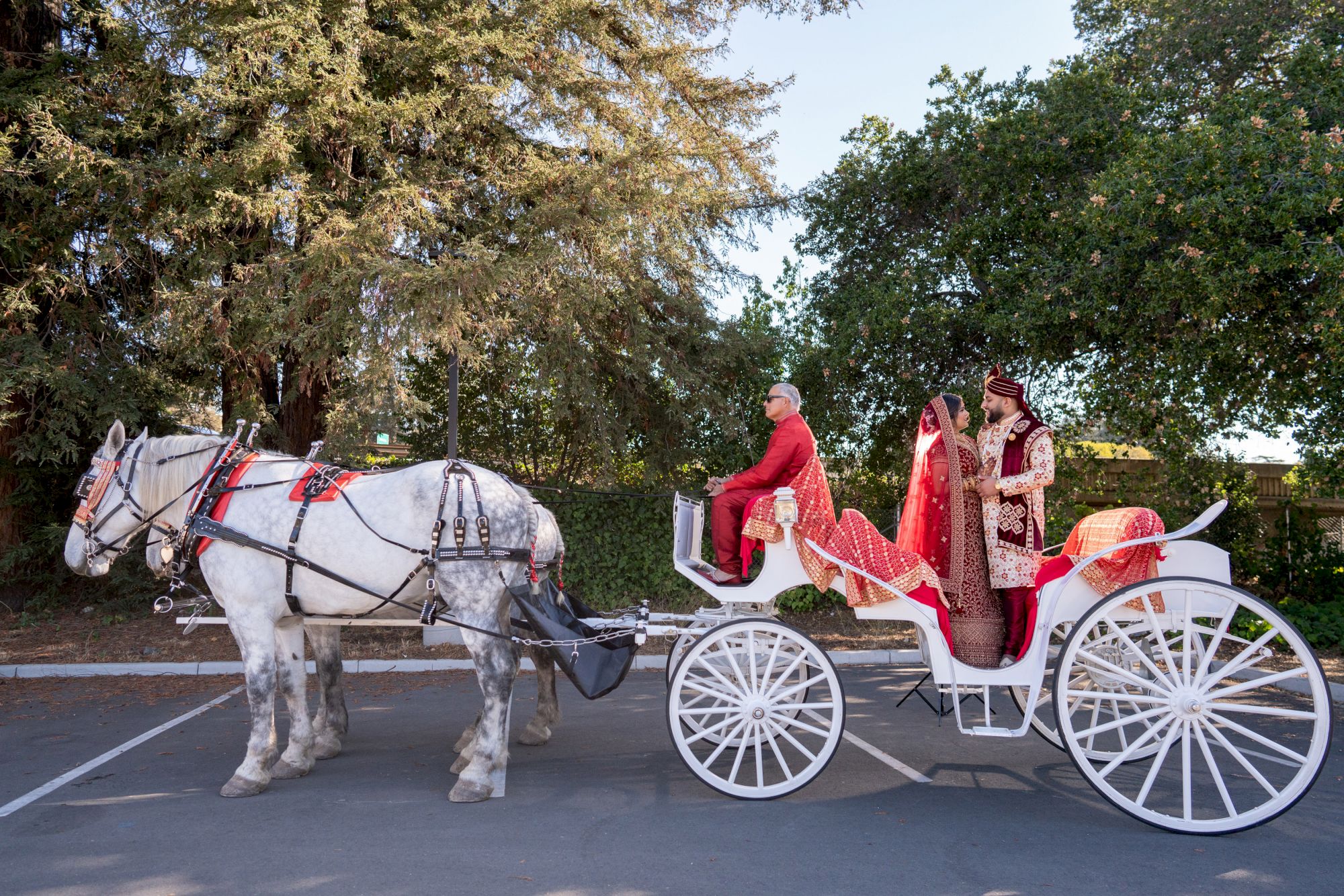 A white horse-drawn carriage carrying two individuals in traditional attire, with tall trees in the background, possibly in a park or similar setting.